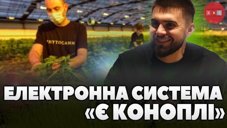 Електронна система «єКоноплі»: що це, для кого та чим допоможе економіці України? (ВІДЕО)