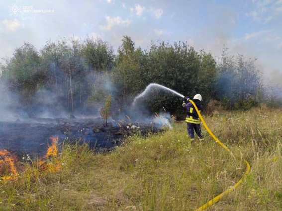 За минулу добу сталося 25 загорянь сухої трави, найбільше пожеж виникло в Житомирському районі