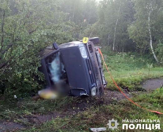 В Олевській громаді в ДТП загинув пасажир, водія доставили до лікарні