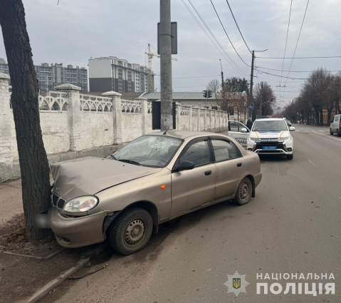 У Житомирі автівка протаранила дерево: травми отримав 29-річний пасажир