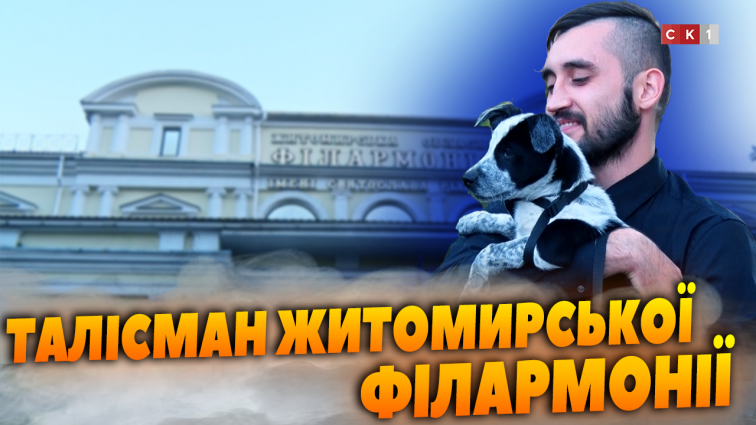 Цуценя Бас стало талісманом Житомирської обласної філармонії (ВІДЕО)