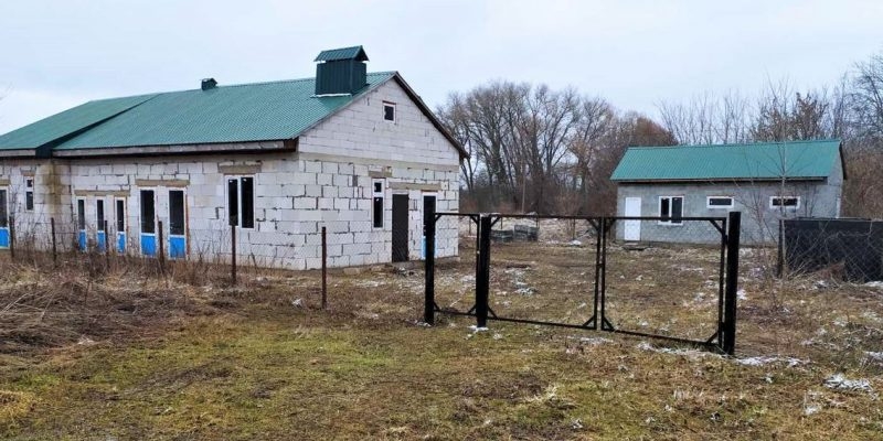 У Бердичеві планують добудувати притулок для тварин, роботи над яким розпочали у 2013 році