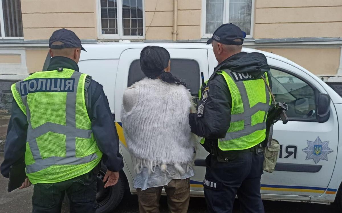 Пропонувала хабар, щоб не платити штраф: поліцейські Олевська задокументували правопорушення