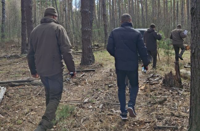 Збитки за порубку понад тисячі дерев в Народицькій громаді Коростенського району становлять майже 4 млн грн
