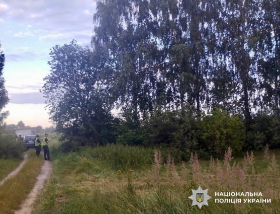 У Ємільчинській громаді в ДТП загинув водій трактора