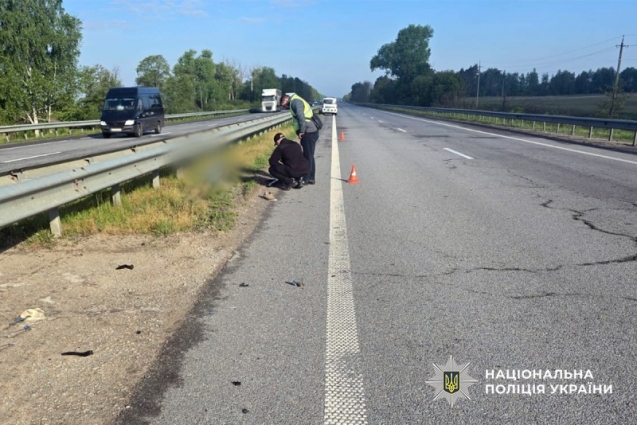 У Пулинській громаді водій Renault збив пенсіонера на трасі та втік з місця ДТП