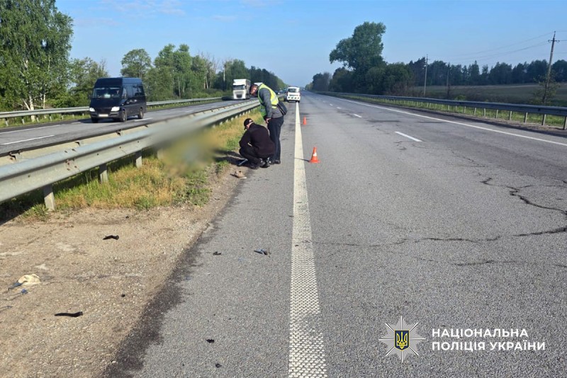 У Пулинській громаді водій Renault збив пенсіонера на трасі та втік з місця ДТП