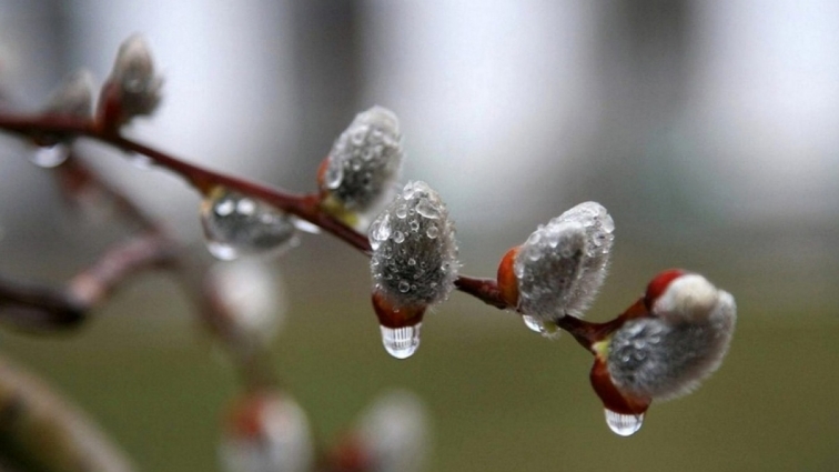 Дощ, мокрий сніг та зниження температури повітря: на Житомирщині синоптики обіцяють різку зміну погоди