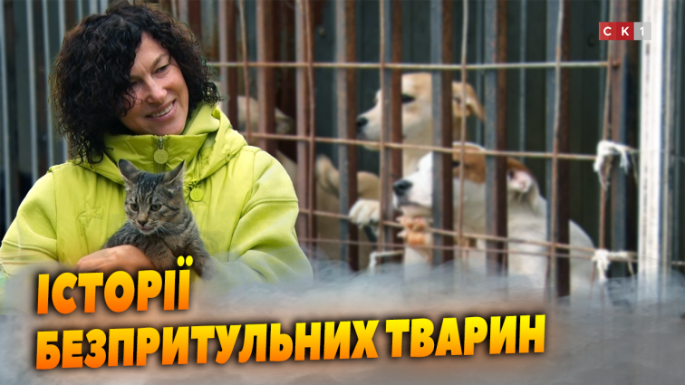 Котик Ваха, песик Вовчик-Грей та собачка Люсі: які випробовування їм довелося пережити? (ВІДЕО)