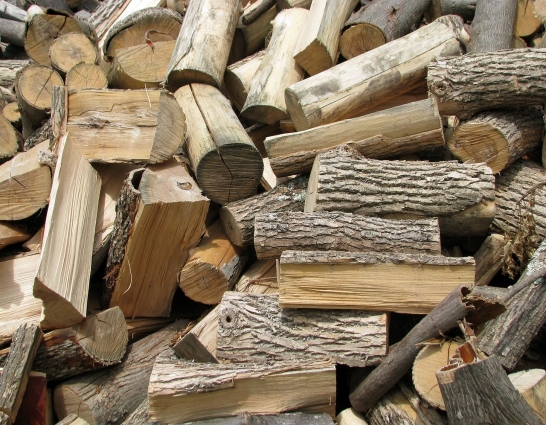 Лісівники області забезпечили дровами населення під час опалювального сезону та розпочали підготовку до зими
