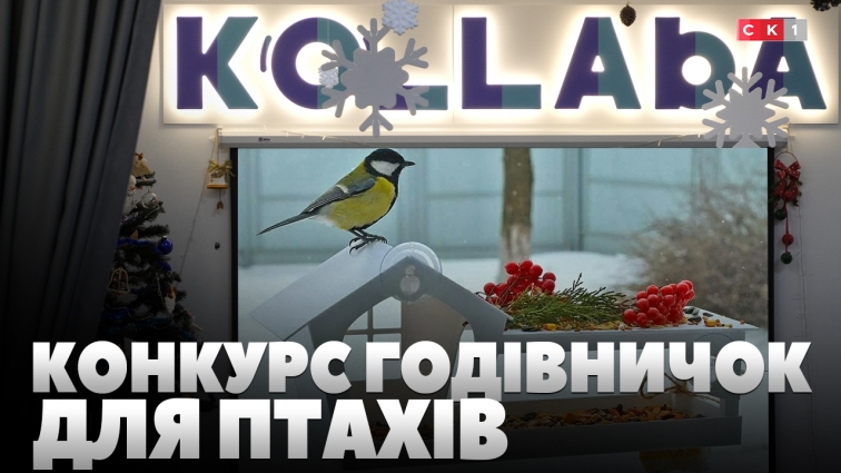 У Житомирі проводять конкурс годівничок для птахів (ВІДЕО)