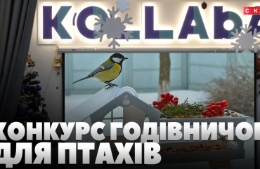 У Житомирі проводять конкурс годівничок для птахів (ВІДЕО)