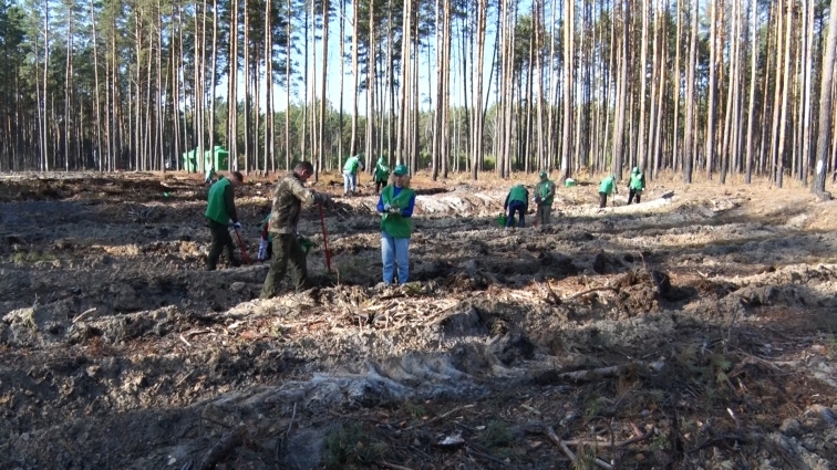 До акції Президента України «Створюємо ліси разом» долучилися «ЗеЖінки»