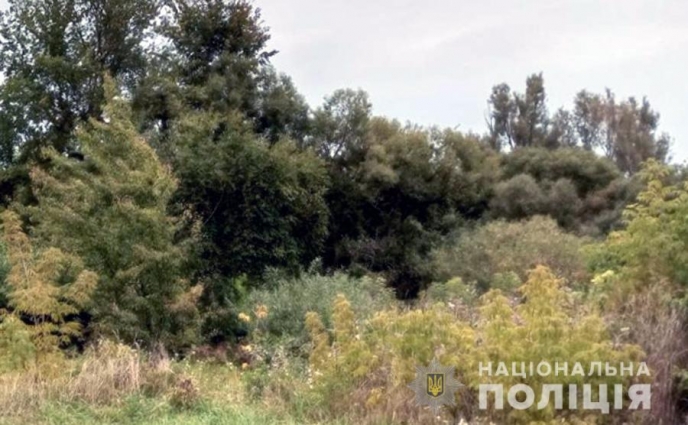 На Житомирщині розшукали 50-річну жінку, яка заблукала в лісі