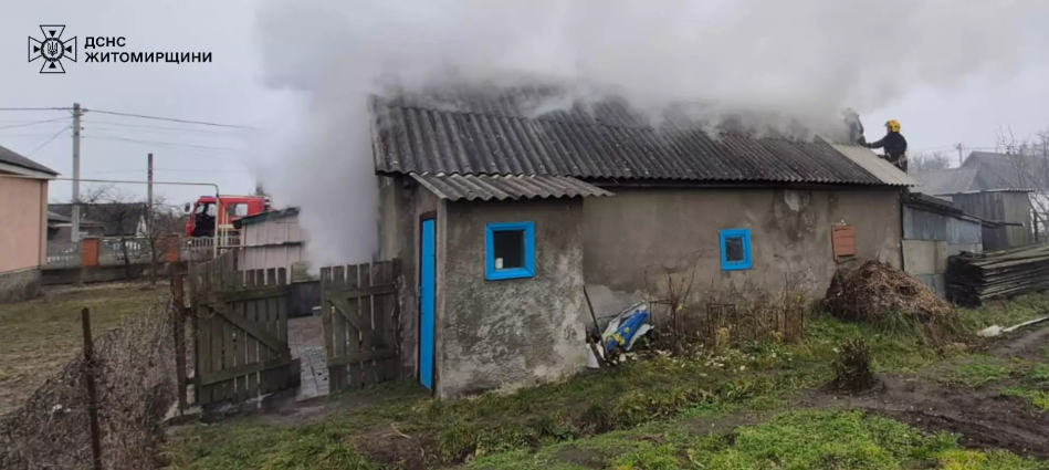 У Малині рятувальники ліквідували пожежу в літній кухні та врятували чотирьох кроликів