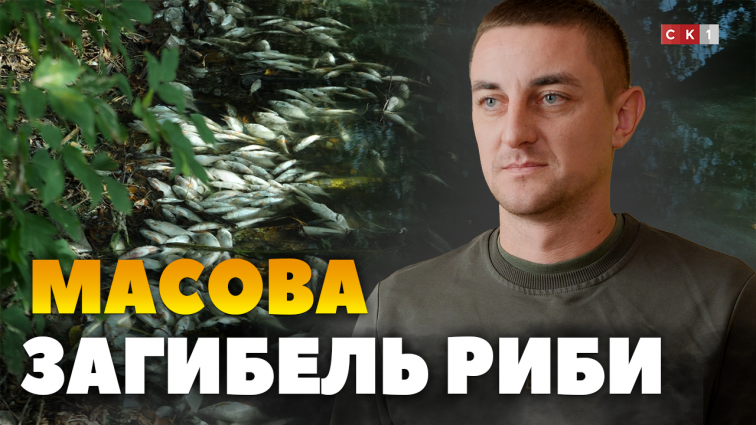Понад 4 тисячі рибин загинуло у річці Тетерів в районі Корбутівки (ВІДЕО)