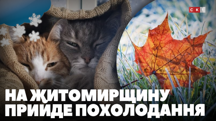 Похолодання та навіть заморозки чекають на жителів Житомирщини вже цього тижня (ВІДЕО)