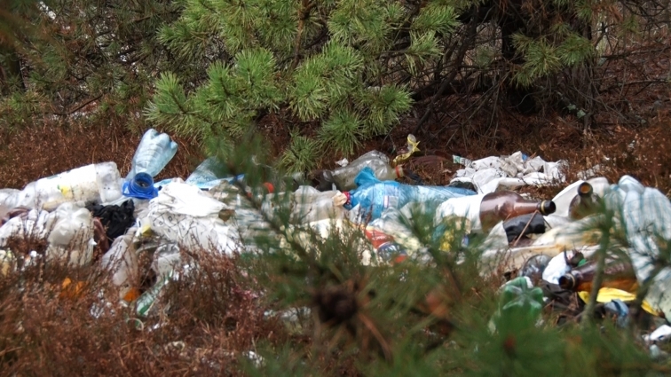 Неподалік Житомира знаходиться потенційно небезпечне сміттєзвалище