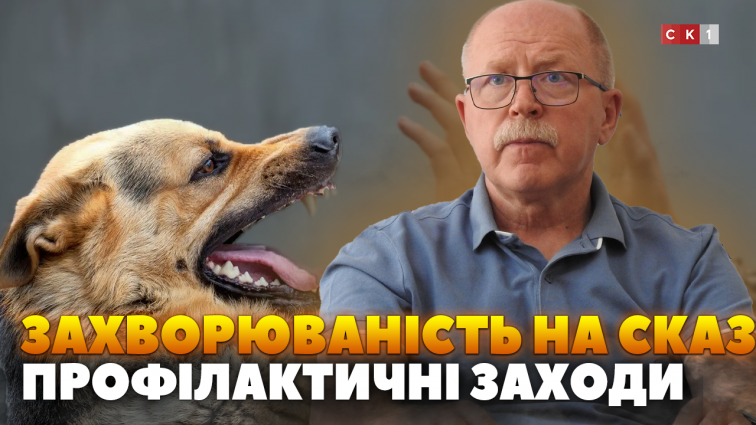Захворюваність на сказ: профілактичні заходи на Житомирщині (ВІДЕО)