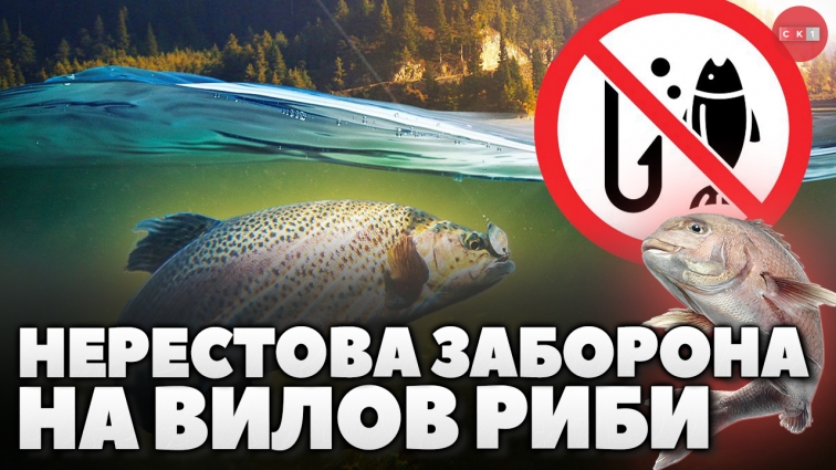 З 1 квітня на водоймах Житомирщини почала діяти нерестова заборона на вилов риби (ВІДЕО)