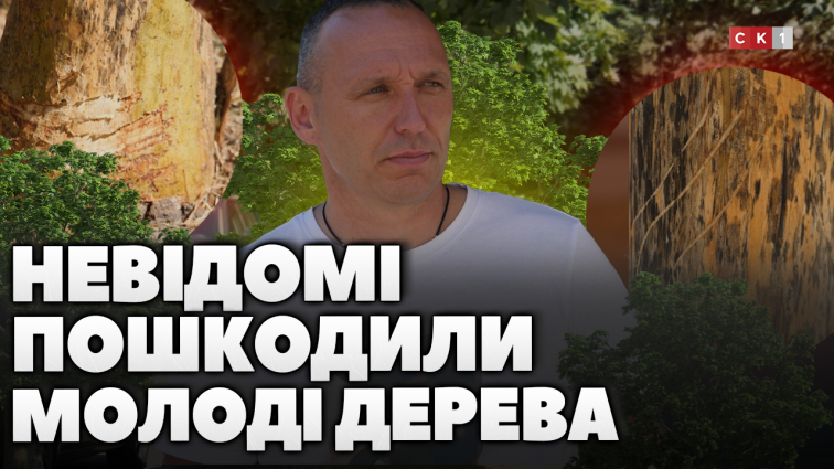 Черговий акт вандалізму: у Житомирі невідомі пошкодили молоді дерева (ВІДЕО)