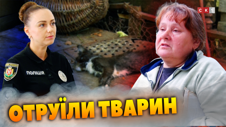 У Житомирі отруїли домашніх тварин (ВІДЕО)