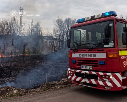 Загоряння сухої рослинності не вщухають: рятувальники Житомирщини закликають громадян до обережності
