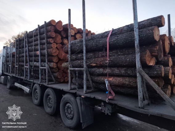 Невідповідність документів та повторне використання бирок: на Житомирщині затримали двох водіїв вантажівок, які незаконно перевозили лісопродукцію