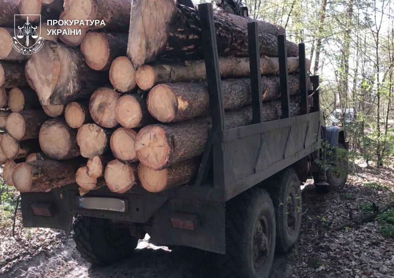 У Житомирському районі викрили схему незаконної вирубки лісу на понад 1,3 млн грн – чотирьом чоловікам повідомлено про підозру