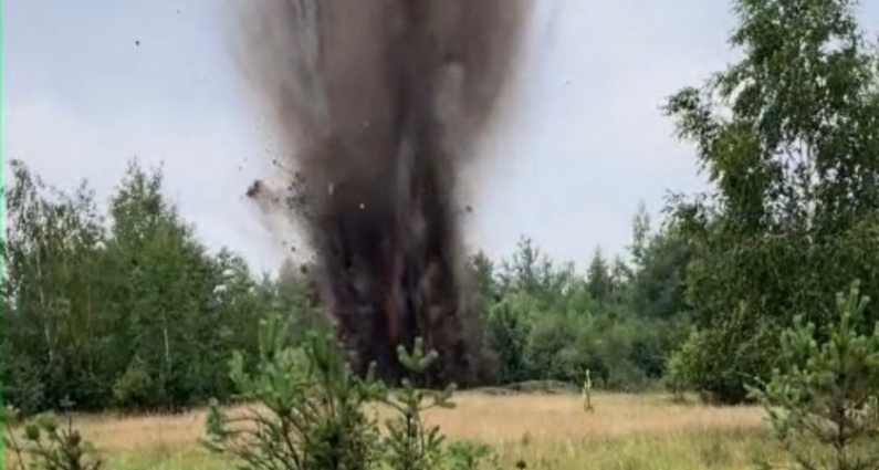 У Коростенському районі селяни в лісі знайшли артилерійський снаряд