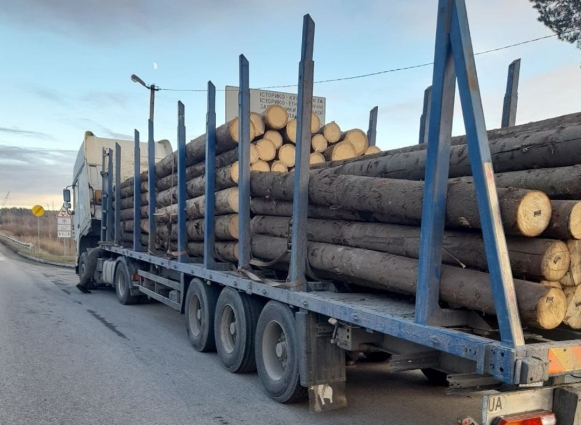 На Житомирщині зупинили вантажний автомобіль DAF водій якого перевозив деревину без документів