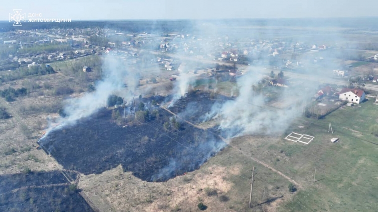 У Житомирському районі на площі 30 га горіла суха трава та чагарник