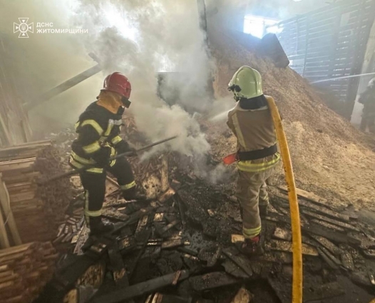 У Житомирі горіло деревообробне підприємство: рятувальники з’ясовують обставин пожежі