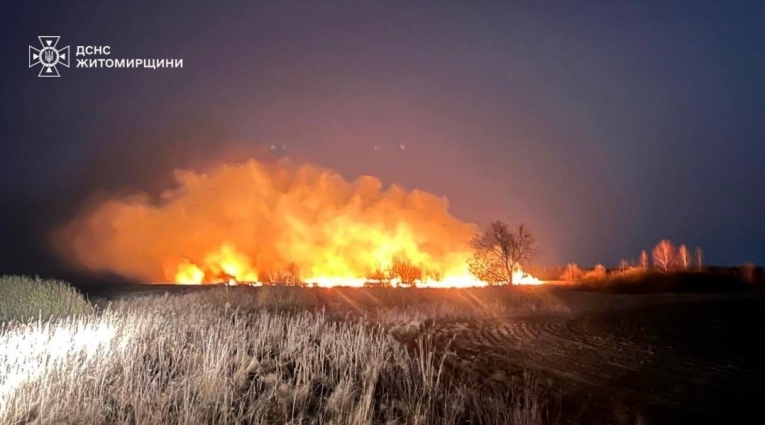 На Житомирщині за минулу добу сталося понад 50 пожеж, із них 36 через загоряння сухостою