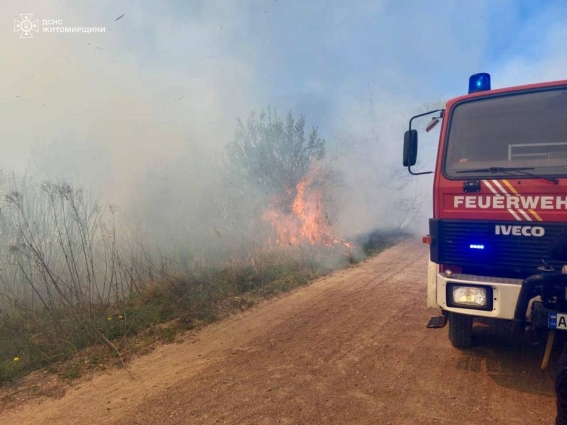 На Житомирщині за минулу добу сталося 19 пожеж сухої трави, вогнем знищено 24 га територій