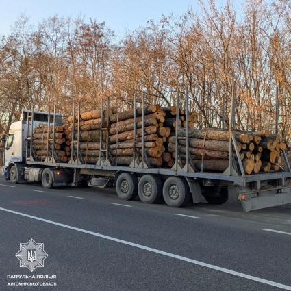 На Житомирщині затримали двох водіїв, які без відповідних документів перевозили деревину