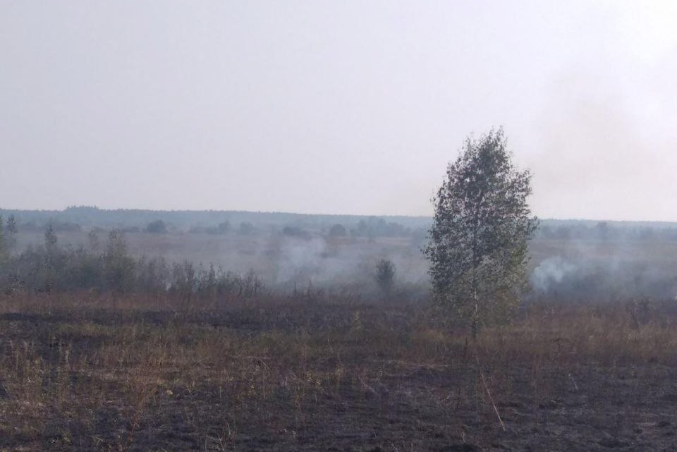 Упродовж минулої доби бійці ДСНС ліквідували 8️ загорянь у природних екосистемах