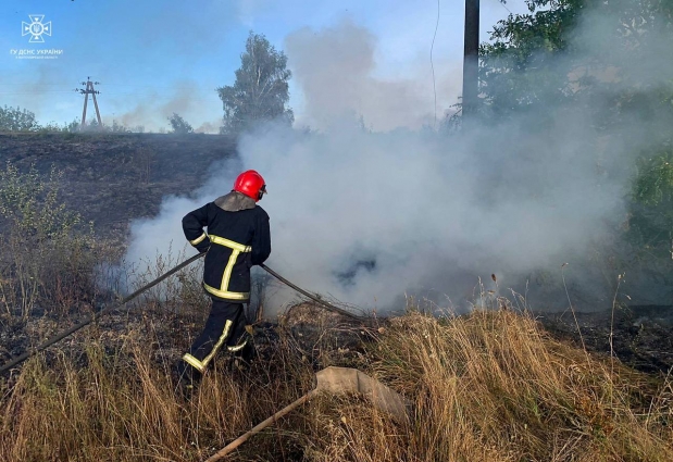 У Житомирському районі за минулу добу сталося три загоряння сухої трави