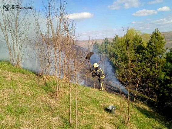 За добу на Житомирщині виникло 8 пожеж в екосистемах