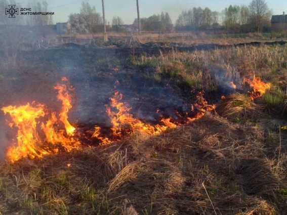 Упродовж доби на Житомирщині ліквідовано п’ять загорянь сухостою на загальній площі 3 га
