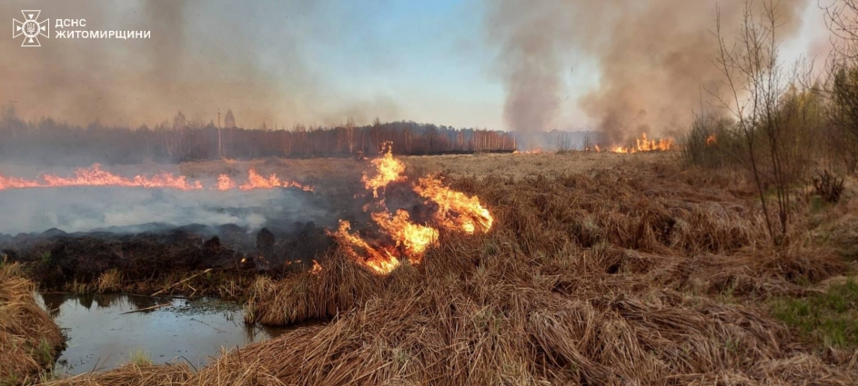 На Житомирщині упродовж доби вогнеборці ліквідували 16 загорянь сухої рослинності