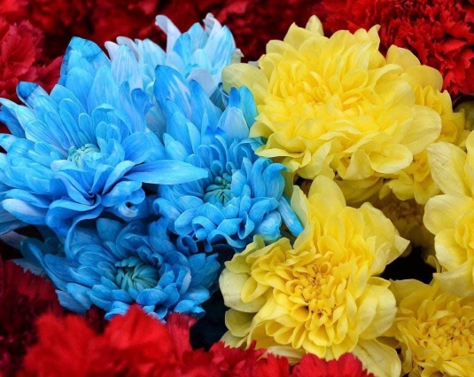 У Житомирі в останню путь провели Захисника Дмитра Кособуцького