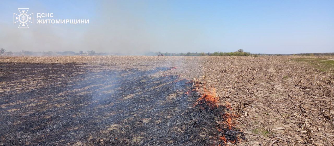 Упродовж доби вогнеборці на Житомирщині ліквідували 5 пожеж сухої рослинності