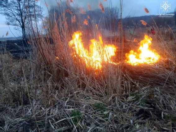 В Овруцькій громаді рятувальники ліквідували загоряння сухої трави на площі 1 га