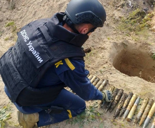 У Коростенському районі піротехніками ДСНС знешкоджено 36 сучасних боєприпасів