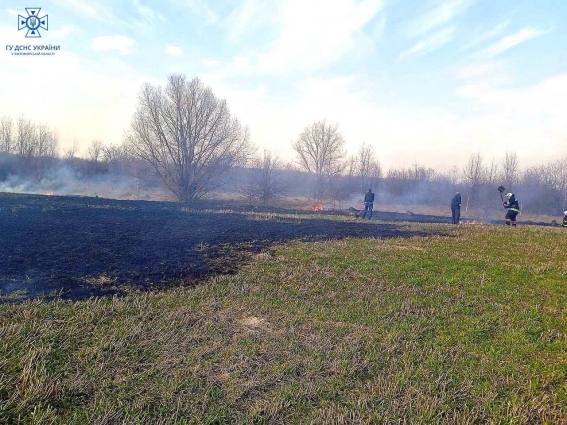 У Житомирській області рятувальники загасили 36 пожеж, 22 з яких – загоряння сухої трави