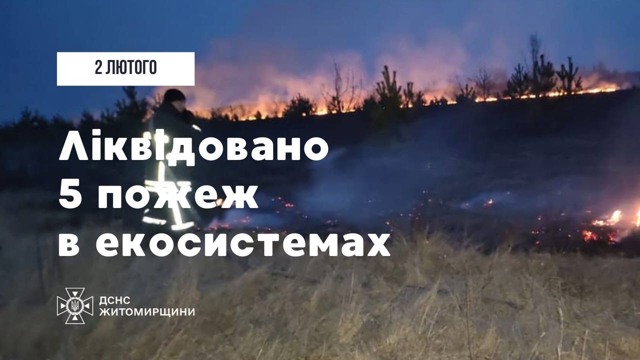 Упродовж доби вогнеборці області ліквідували 5 пожеж в природних екосистемах