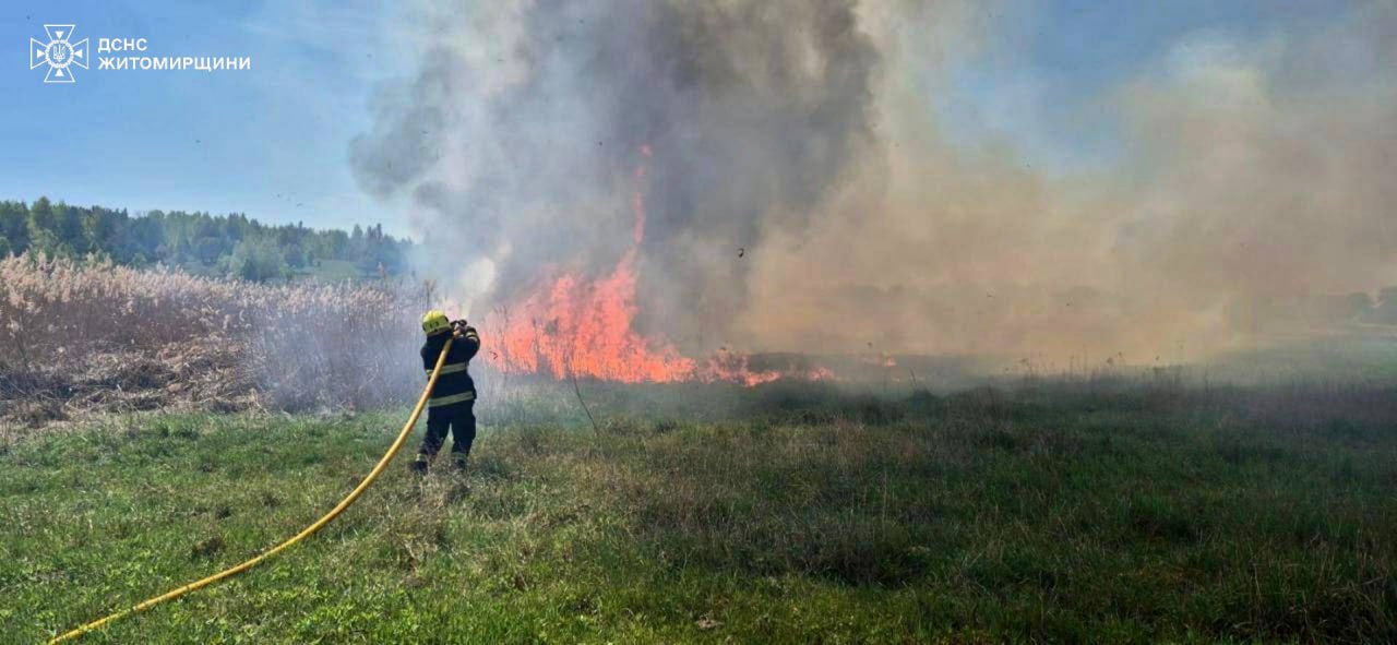 На Житомирщині за минулу добу ліквідували пожежу на сміттєзвалищі та 5 загорянь сухої трави