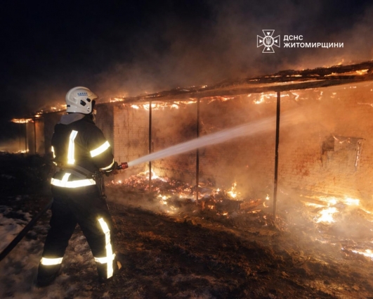 У Житомирському районі ліквідували пожежу в господарчій будівлі, вогнем знищено покрівлю по всій площі