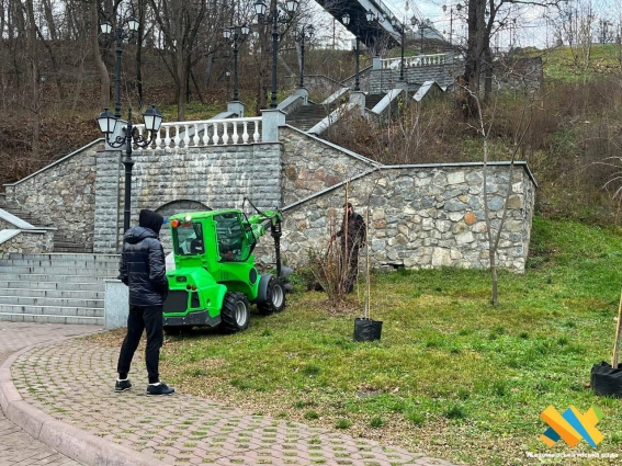 У Житомирі в парку Шодуара висаджують декоративні дерева